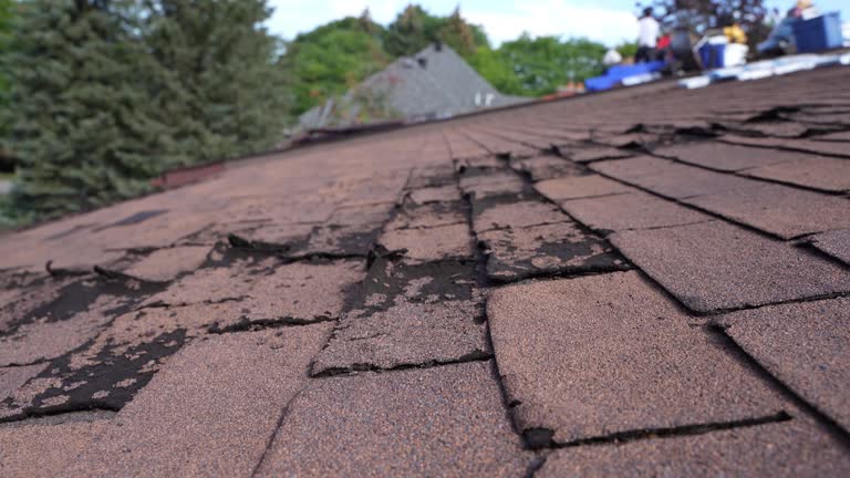 Reliable Nellieburg, MS Roofing Service Solutions