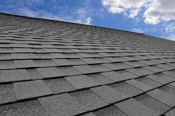 Best Wood Shake Roofing  in Nellieburg, MS