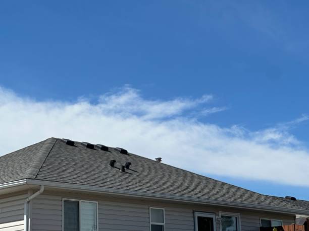 Best Gutter Installation and Repair  in Nellieburg, MS